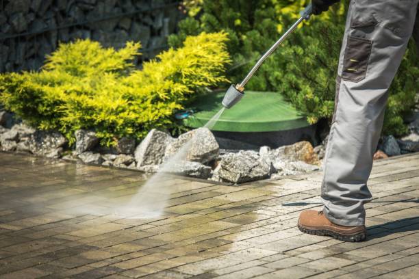 Best Animal Enclosure Cleaning  in Arcola, TX
